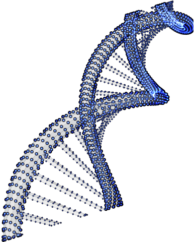 Holocase
